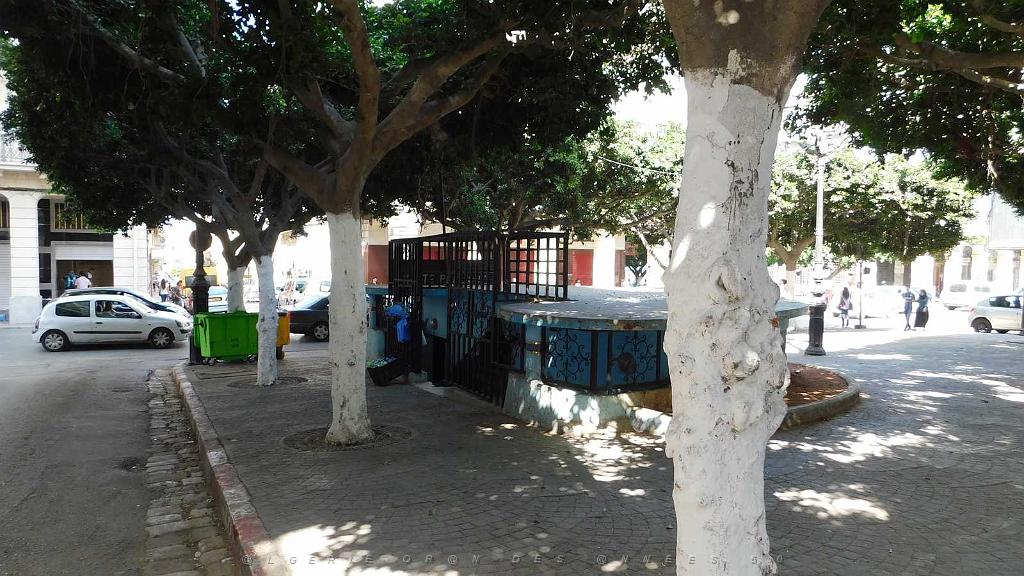 VOYAGE EN ORANIE DU 15 AU 22 SEPTEMBRE 2017 (230).JPG -           